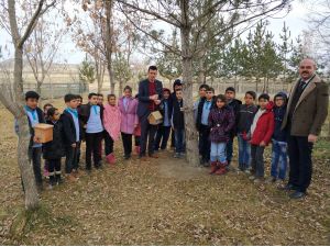 Okul bahçesine kuş yuvaları yerleştirdiler