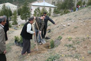 Ağaç dikimine büyük katılım yaşandı
