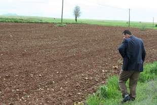 Yağışlar pancar çapasını yaptırmadı