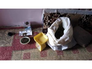 Polis samanlıkta dirgenle uyuşturucu aradı