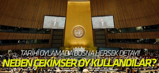 Tarihi oylamada dikkat çeken Bosna Hersek detayı!