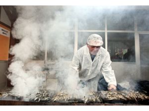 Hamsiyi bu sefer tadımlık yiyebildiler