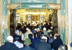Ormanın faziletlerinden vazgeçiliyor