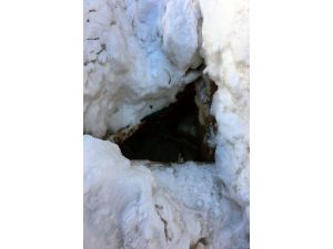 Tunceli'de terör operasyonları