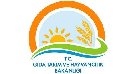 Gıdalarda aroma verici maddelere düzenleme yapıldı