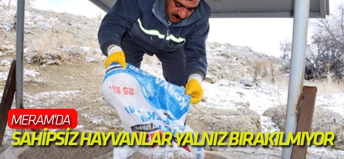 Meram'da Sahipsiz Hayvanlar Yalnız Bırakılmıyor
