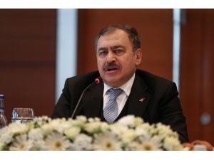 Orman ve Su İşleri Bakanı Eroğlu: (2)