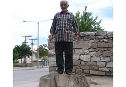 İlyas'ın Kavaklarını kurutmuşlar