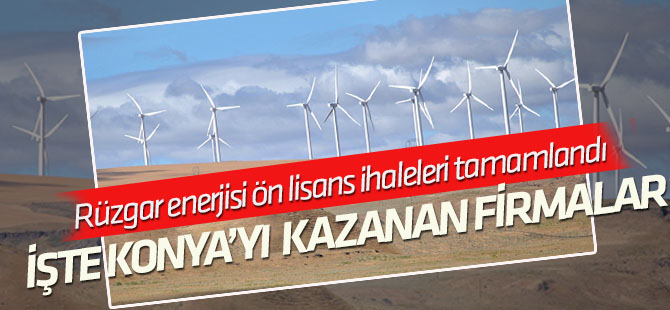 Rüzgar enerjisi ön lisans ihaleleri tamamlandı!