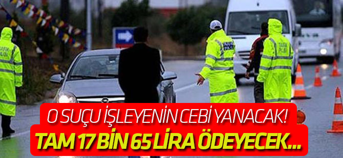 O suçu işleyenin cebi yanacak! Tam 17 bin 65 lira ödeyecek...