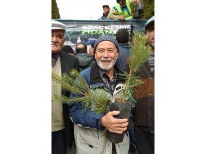 Yılbaşı dolayısıyla 500 bin fidan ücretsiz dağıtıldı