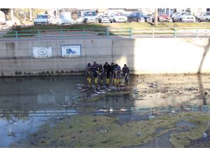 BSA kanalında temizlik