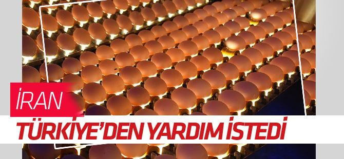 İran'da artan yumurta fiyatlarını Türkiye düşürecek