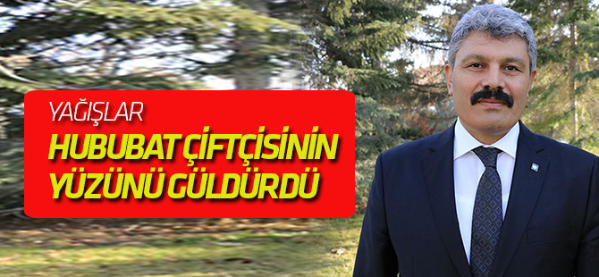 Yağışlar hububat çiftçisinin yüzünü güldürdü