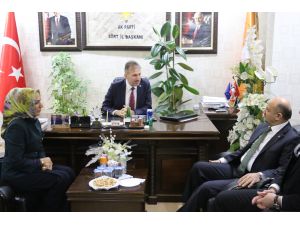 Başbakan Yardımcısı Işık, Siirt'te