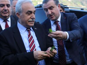 Bakanlar Fakıbaba ve Bak ağ attı