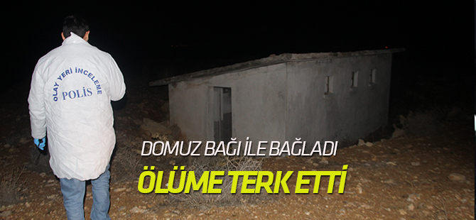 Domuz bağı yöntemiyle bağlanarak ölüme terk edildi