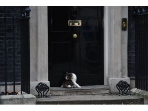 İngiltere Eğitim Bakanı istifa etti