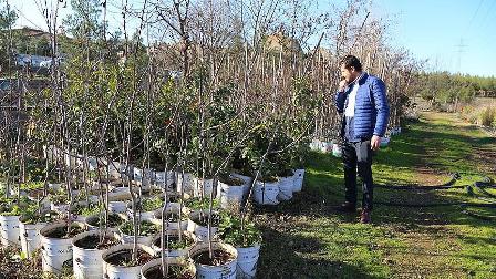 Diyarbakırlı çiftçiler belediye desteğiyle organik tarıma yöneliyor
