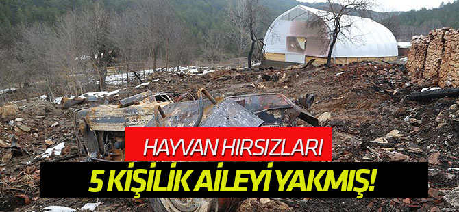 Kayıp 5 kişilik Çataloğlu ailesi cinayete kurban gitmiş