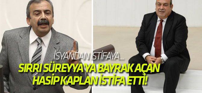 Sırrı Süreyya'ya bayrak açan Hasip Kaplan istifa etti!