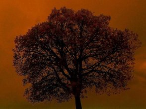 Konya'nın tarihi dokusu