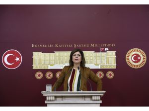 HDP Adana Milletvekili Beştaş: