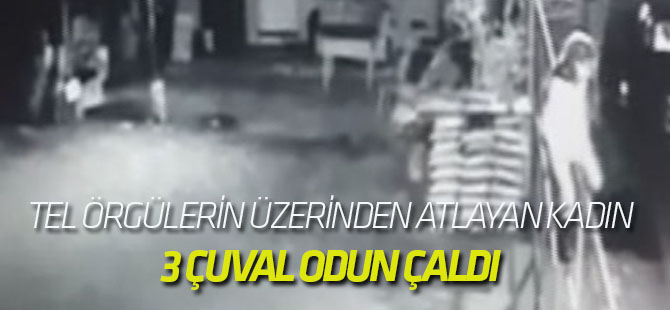 Tel örgülerin üzerinden atlayan kadın, 3 çuval odun çaldı