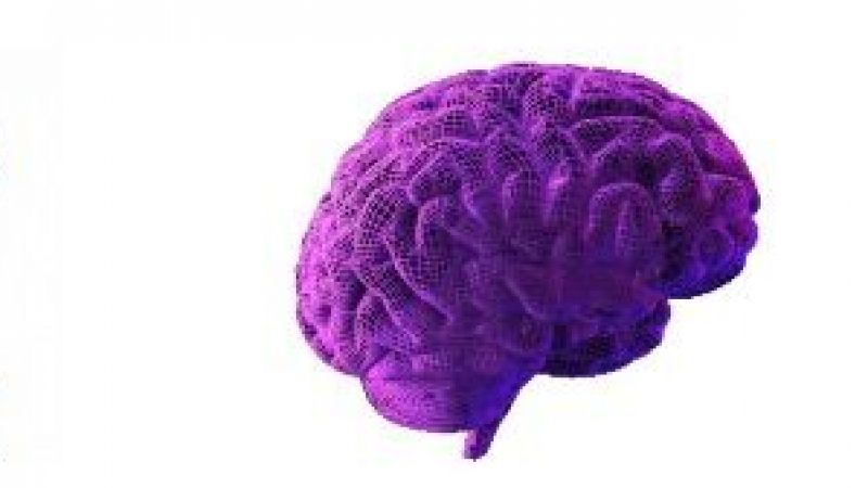 Bin 823 kamu çalışanı görevine iade edildi