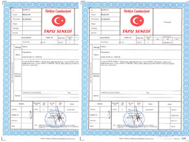 'Tapu'lar yetişemedi iş takipçileri çıktı