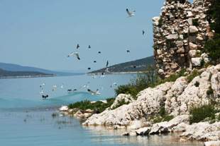 Beyşehir Gölü canlanıyor