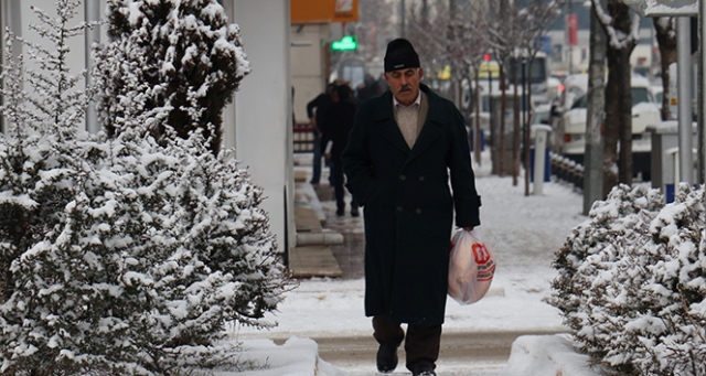 Van’da kar yağışı