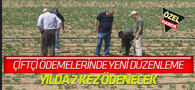 Çiftçi desteklemeleri 2 kalemde yapılacak