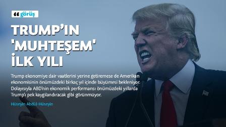 Trump’ın 'muhteşem' ilk yılı