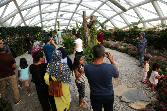 Tropikal Kelebek Bahçesi Konya'nın Favori Ziyaret Mekanı Oldu