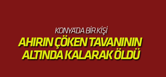 Ahırın Çöken Tavanının Altında Kalarak Öldü