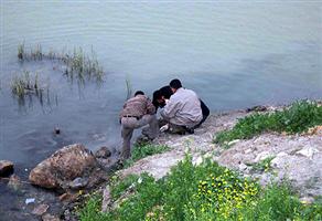 Oltaya bu kez el bombası takıldı