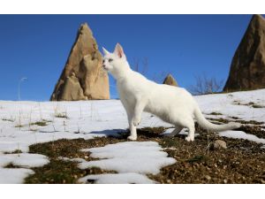 Kapadokya beyaza büründü