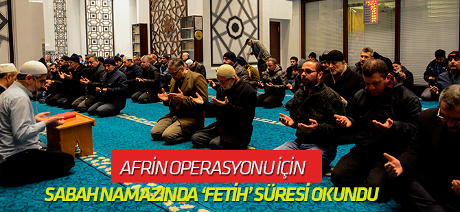 Zeytin Dalı Harekatı