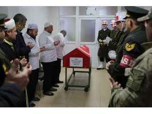 GÜNCELLEME - Zeytin Dalı Harekatı