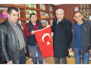 Zeytin Dalı Harekatı