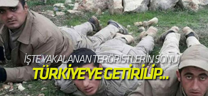 İşte yakalanan teröristlerin sonu!