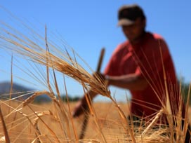 Destekleme ödemesi için başvurular sürüyor