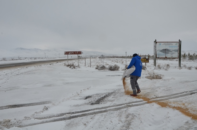 Karapınar'da doğaya yem bırakıldı