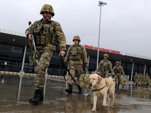 Mayın arama köpeği "Ayevi" Afrin'de Mehmetçik'in gözü olacak