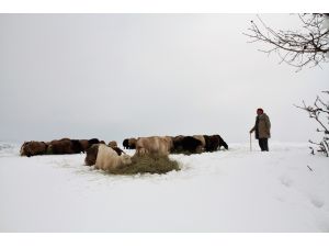 Devrilen tır nedeniyle Ağrı-İran karayolu bir süre ulaşıma kapandı