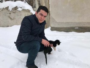 Donmak üzereyken bulduğu kedi yavrusunu kurtardı