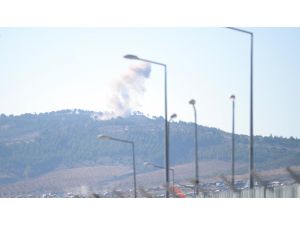 Zeytin Dalı Harekatı