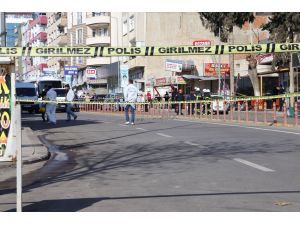 Yağışlar GAP çiftçisine nefes aldırdı