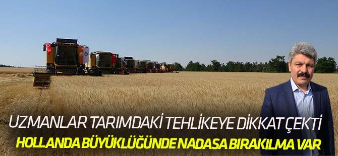 Uzmanlar tarımdaki tehlikeyi uyardı!